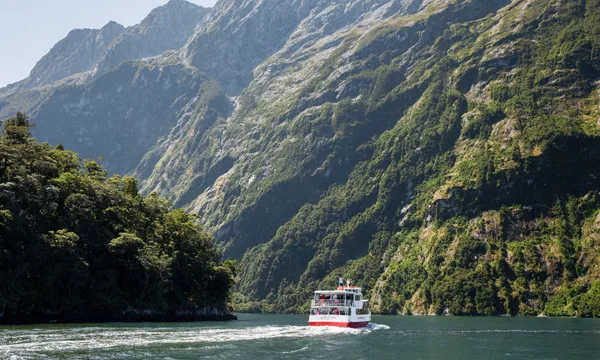 Milford Sound Tour and Cruise with Picnic Lunch - Full Day