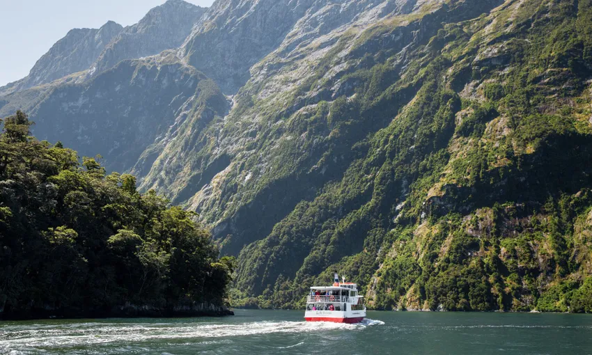 Milford Sound Tour and Cruise with Picnic Lunch | Experience Oz