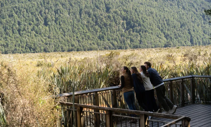 Milford Sound Tour and Cruise with Picnic Lunch | Experience Oz