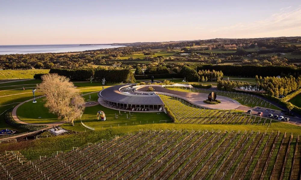 Mornington Peninsula Food, Wine & Art - 3.5 Hours | Experience Oz-8