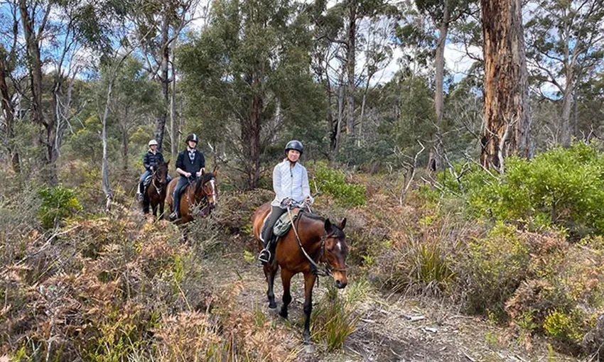 Bush Rangers Track Horse Ride - 2 Hours | Experience Oz
