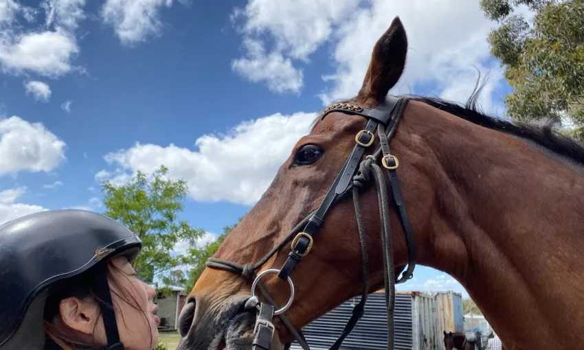 Bush Rangers Track Horse Ride - 2 Hours | Experience Oz