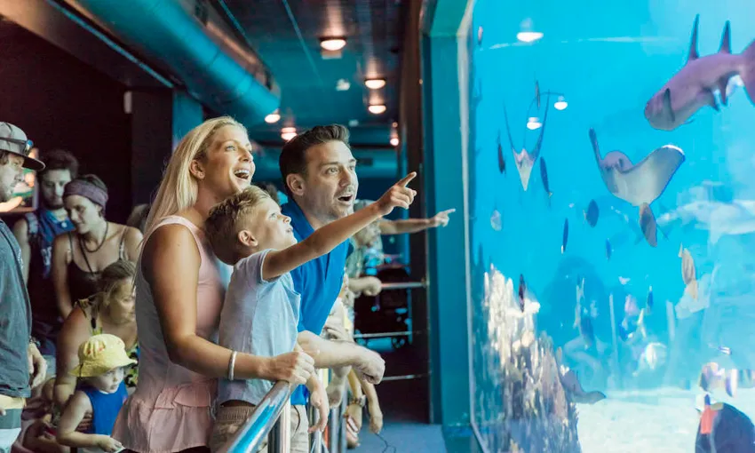 Gold Coast Theme Park Pass and Jet Boat - 5 Days | Experience Oz