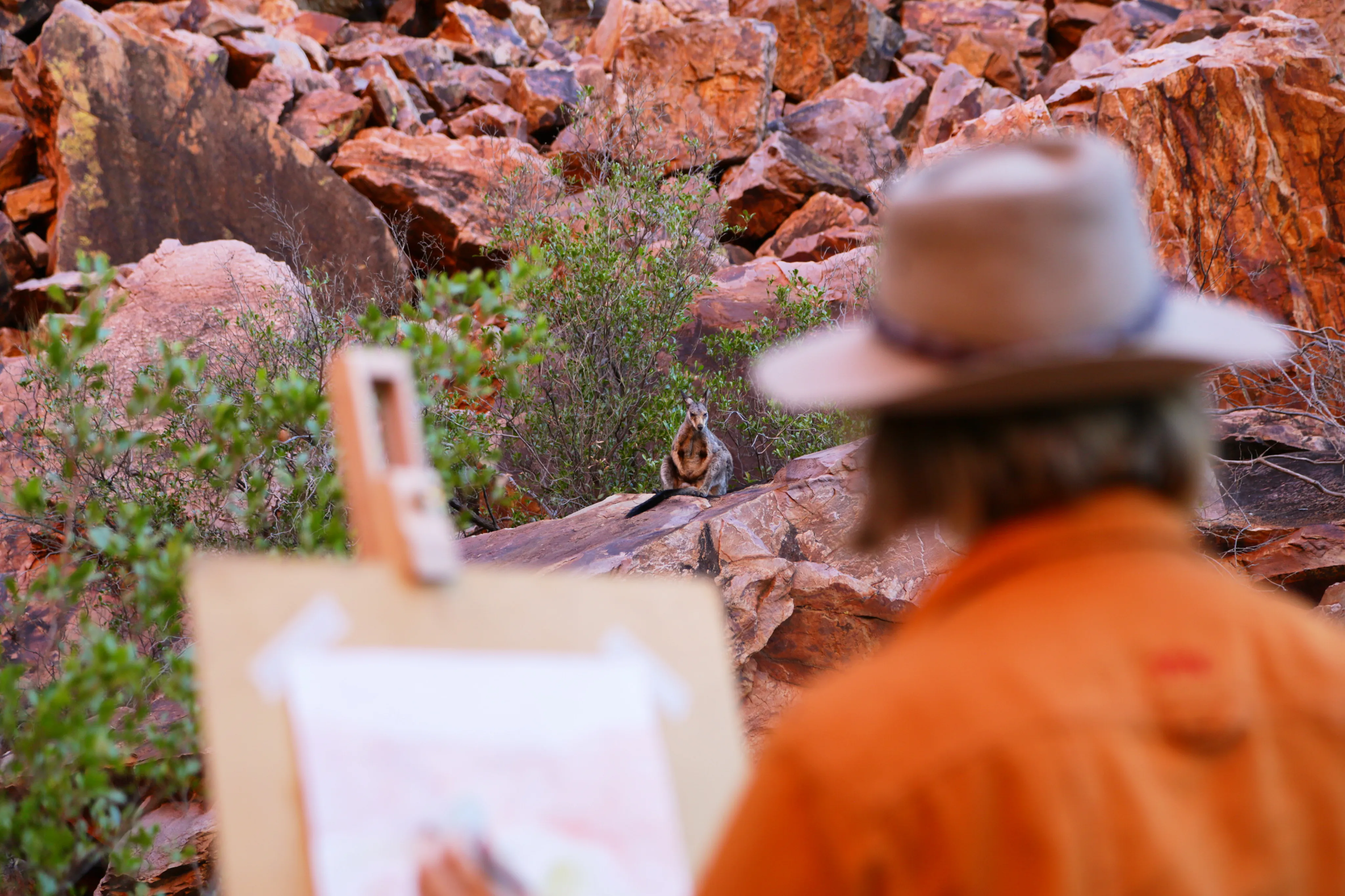 Simpsons Gap Sunset Watercolour Class - 3 Hours | Experience Oz-3