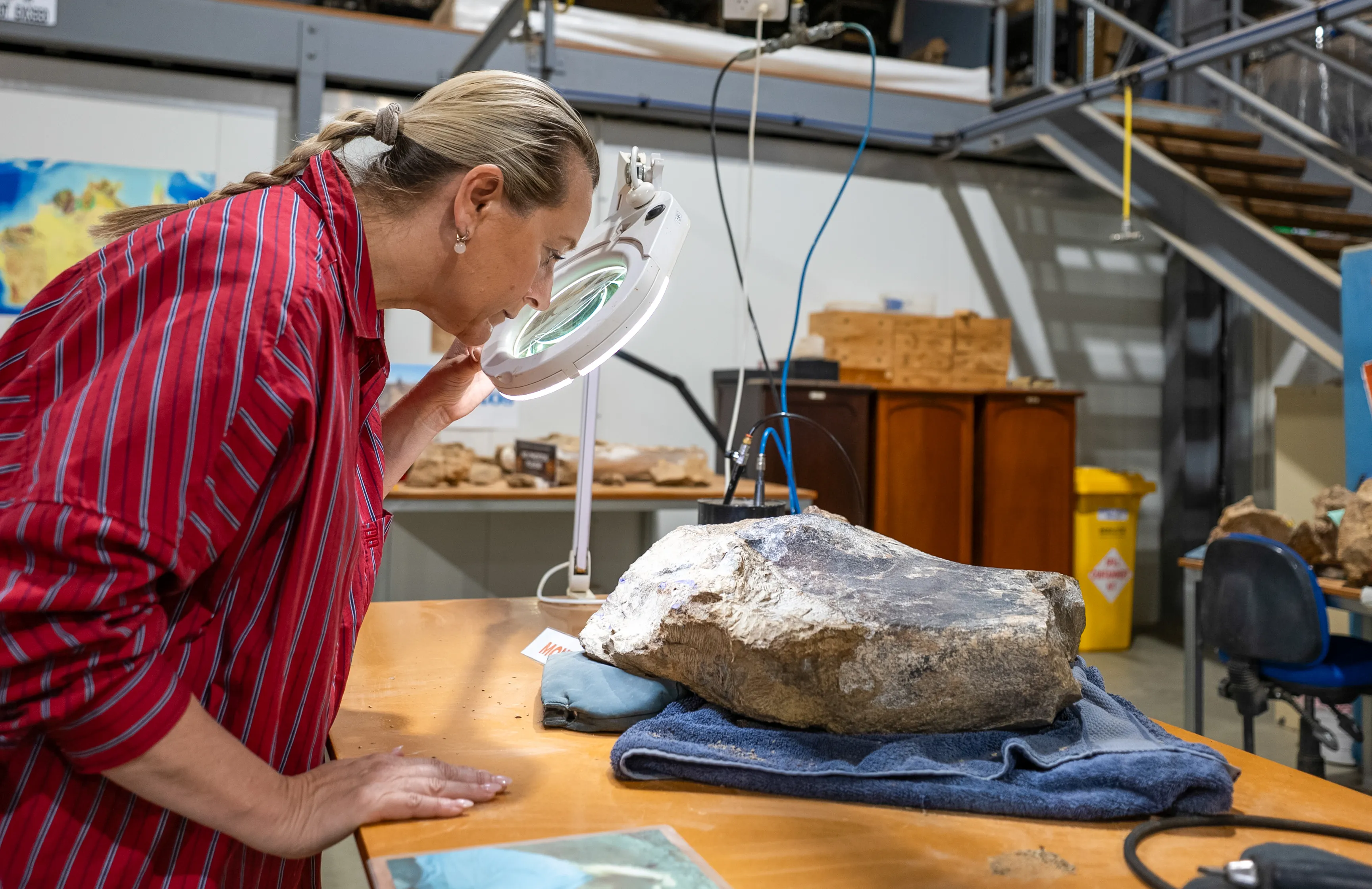 Eromanga Natural History Museum Premium Tour | Experience Oz-2