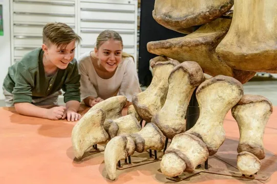 Eromanga Australian Dinosaur Giants Museum Tour - 1 Hour