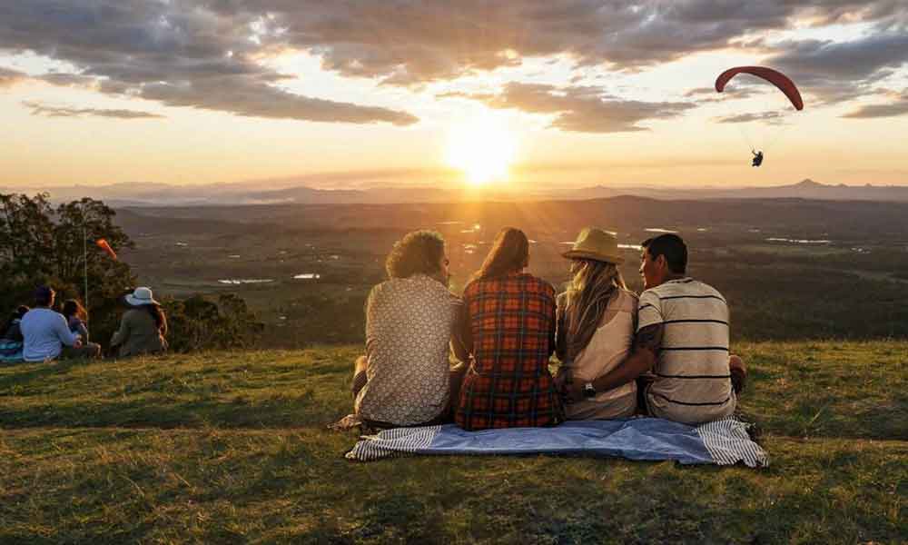 Wine Tour, Full Day in Tamborine Mountain - Gold Coast