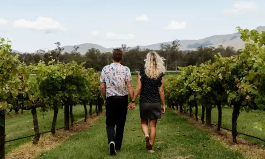 Wine Tour, Full Day in Tamborine Mountain - From Brisbane