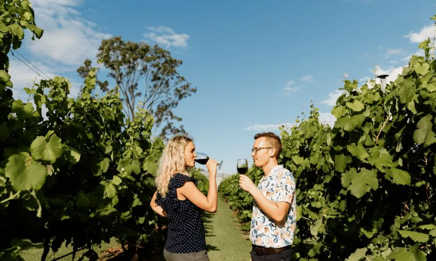 Wine Tour, Full Day in Tamborine Mountain - From Brisbane