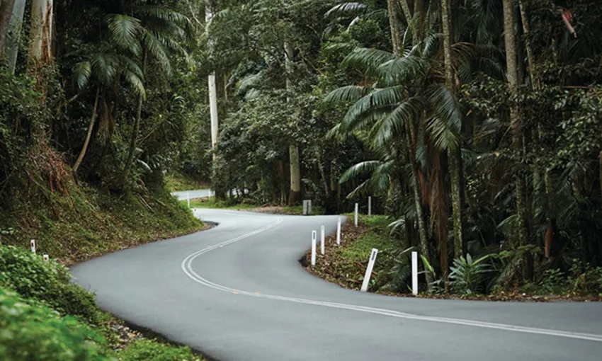 Tamborine Mountain Hop On Hop Off Beer Tour | Experience Oz