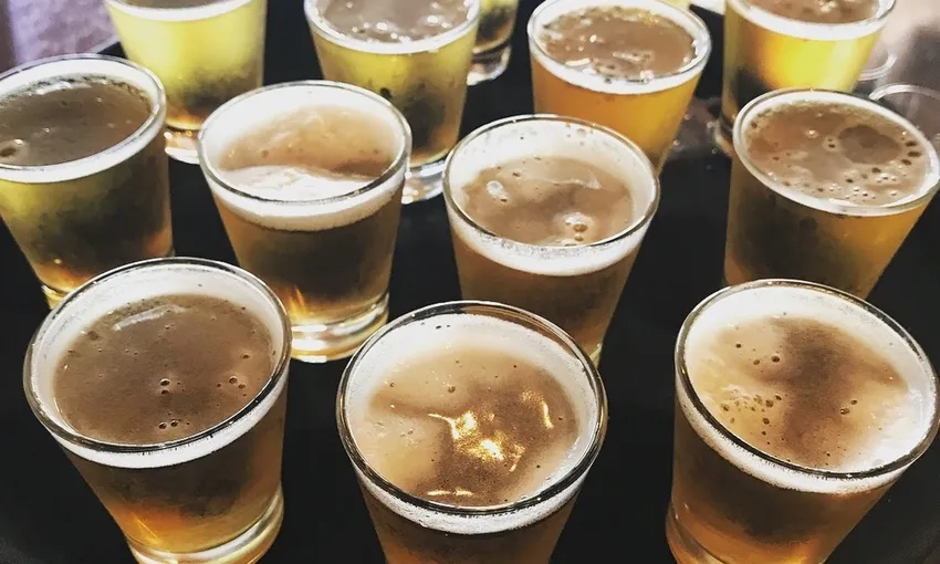 Tamborine Mountain Hop On Hop Off Beer Tour | Experience Oz