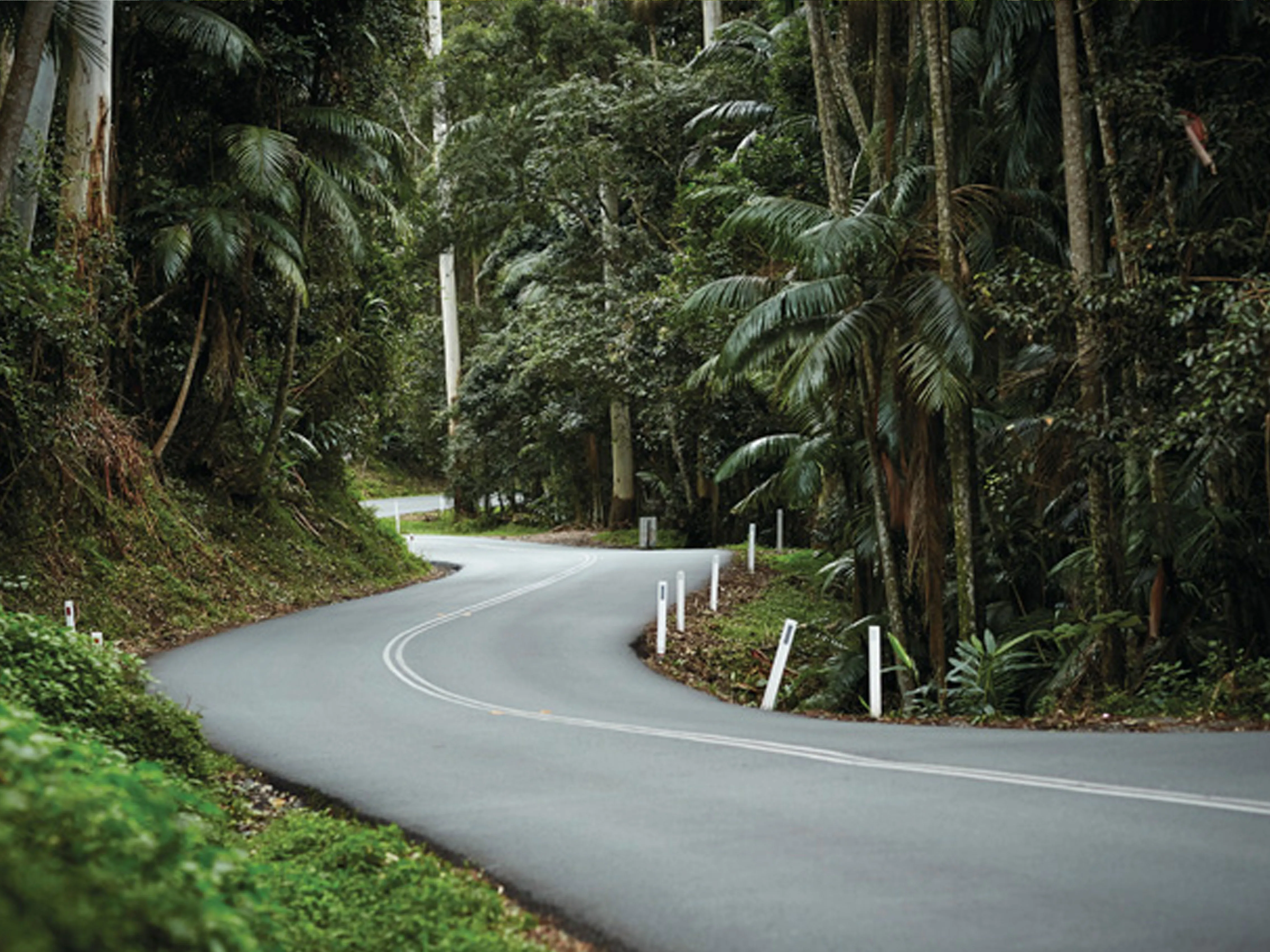 Tamborine Mountain Hop On Hop Off Distillery Tour | Experience Oz-4