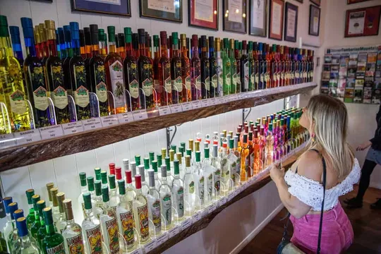 Tamborine Mountain Hop On Hop Off Distillery Tour - Full Day
