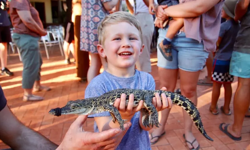 Broome Crocodile Feeding Tour with Park Entry and Transfers | Experience Oz