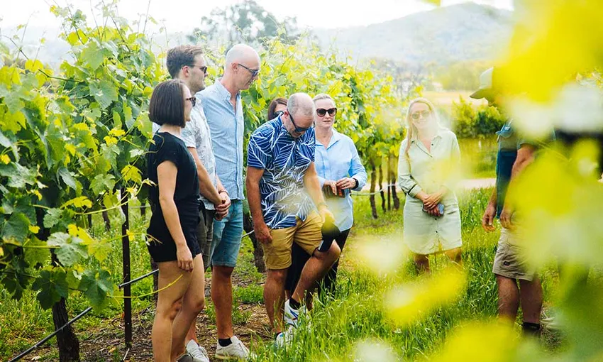 Hunter Valley Wine Tasting Tour with Lunch – From Sydney