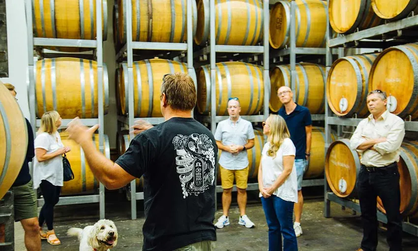 Hunter Valley Wine Tasting Tour with Lunch – From Sydney
