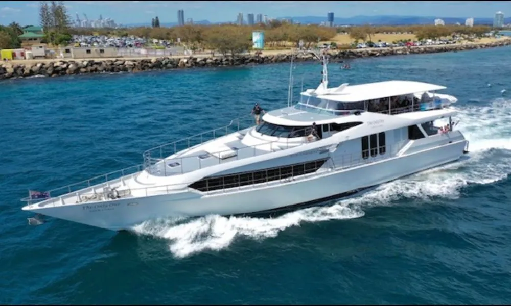 Gold Coast Whale Watching Cruise - 2.5 Hours | Experience Oz-2