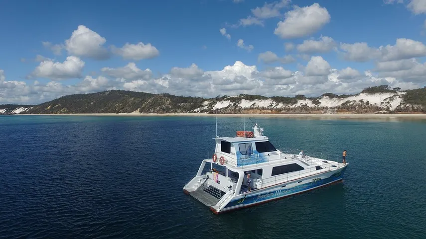 Hervey Bay Whale Escape - Luxury Full Day Whale Watching Cruise | Experience Oz