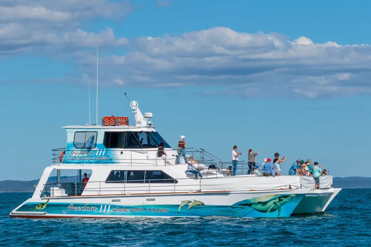Hervey Bay Whale Escape - Luxury Full Day Whale Watching Cruise | Experience Oz