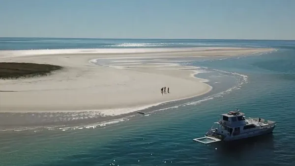 Hervey Bay Whale Escape - Luxury Full Day Whale Watching Cruise