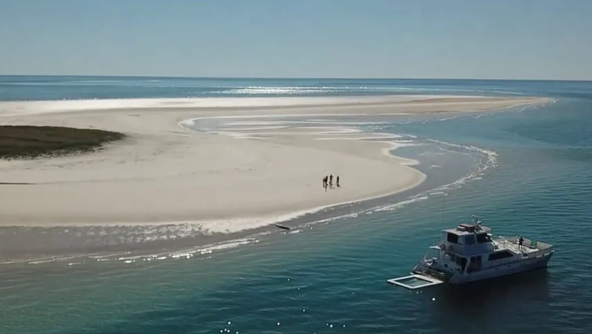 Hervey Bay Whale Escape - Luxury Full Day Whale Watching Cruise | Experience Oz