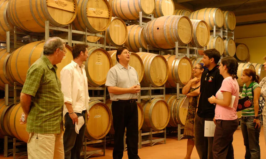 Boutique Wine Tour from Sydney, Full Day - Hunter Valley