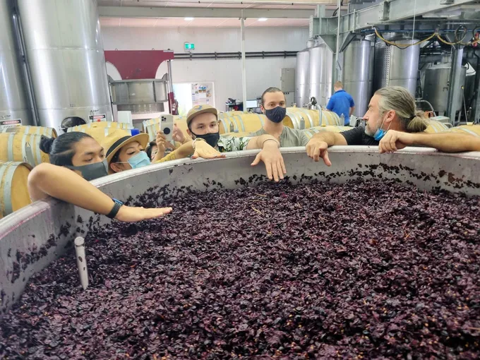 Winery & Brewery Behind the Scenes Tour, 4 Hours – Canberra