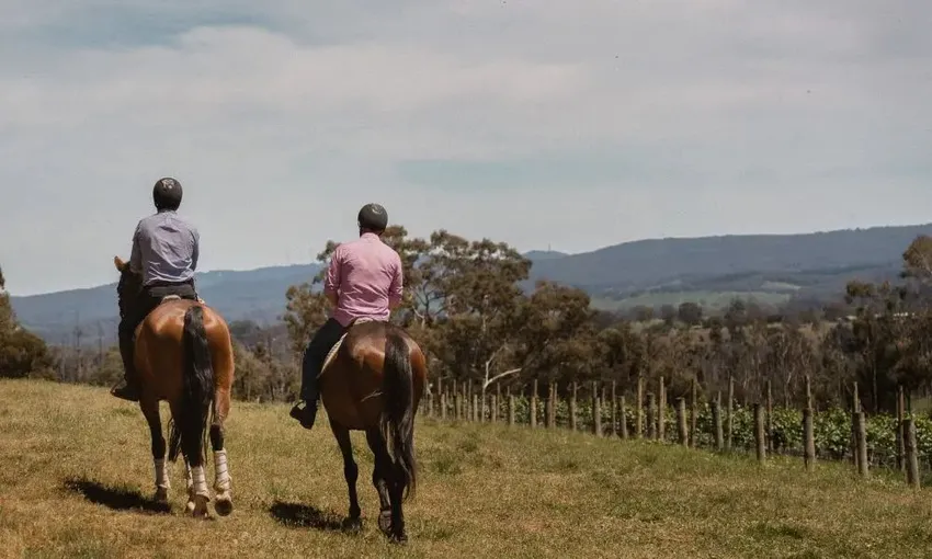 Horse Trail Ride & Wine Tasting, For 2 – Adelaide Hills