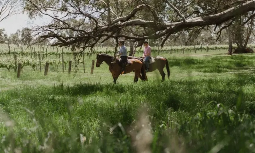Horse Trail Ride & Wine Tasting, For 2 – Adelaide Hills