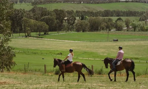 Horse Trail Ride & Wine Tasting, For 2 – Adelaide Hills