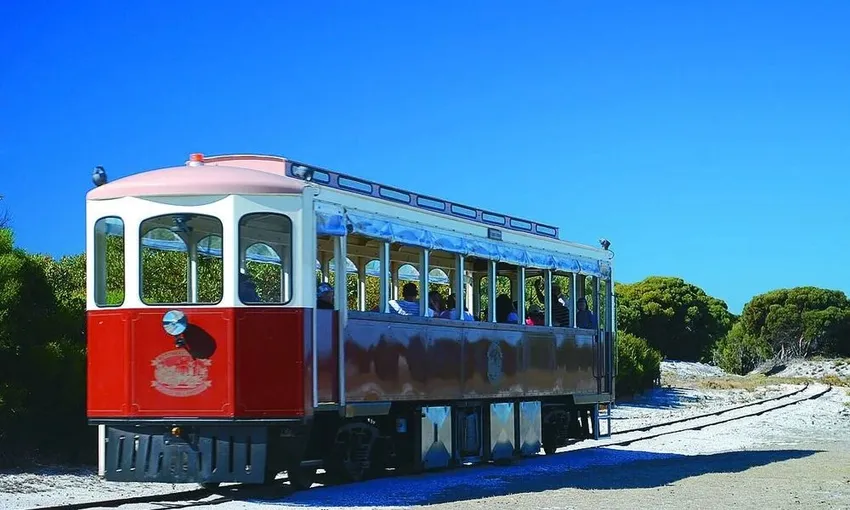 Rottnest Island Tour with Ferry Transfers & Lunch | Experience Oz