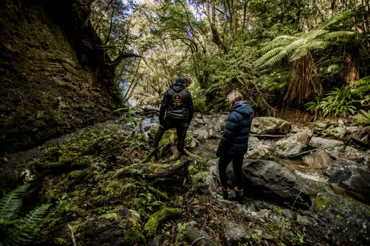 Lake Te Anau South Fiord Cruise & Hidden Lakes Walk