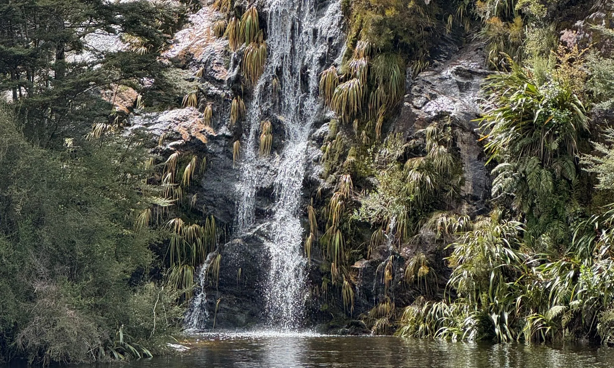 Lake Te Anau Cruise & Hidden Lakes Walk | Everything New Zealand-2