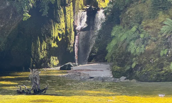 Lake Te Anau South Fiord Cruise & Hidden Lakes Walk
