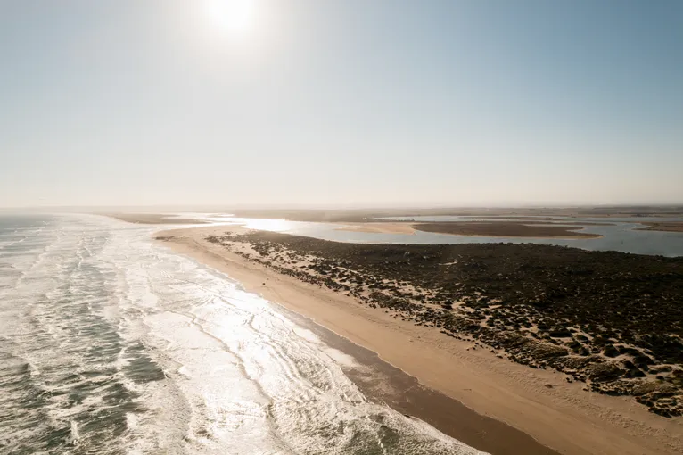 Goolwa Murray Mouth Scenic Cruise - 90 Minutes | Experience Oz