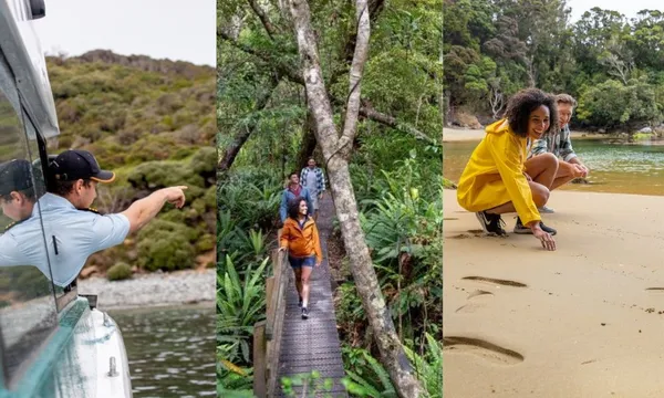 Rakiura For A Day
