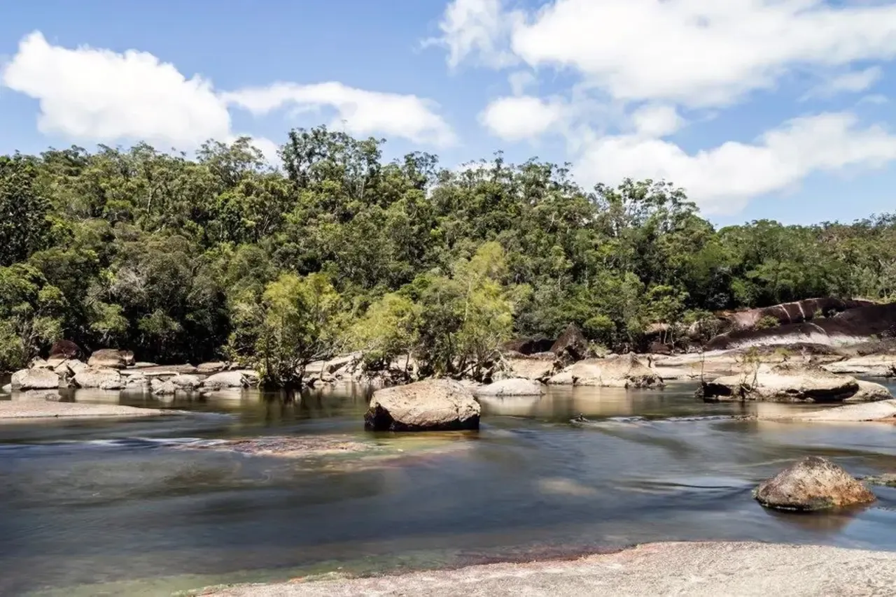 Mossman Gorge Kuku Yalanji Cultural Walk | Experience Oz-1