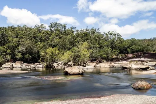 Mossman Gorge Kuku Yalanji Cultural Walk - Half Day