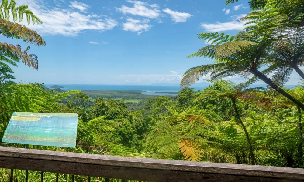 Mossman Gorge Kuku Yalanji Cultural Walk | Experience Oz-6