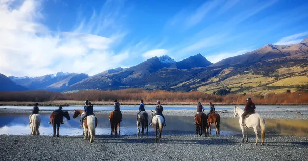 Beginner Friendly Horse Trek from Glenorchy 