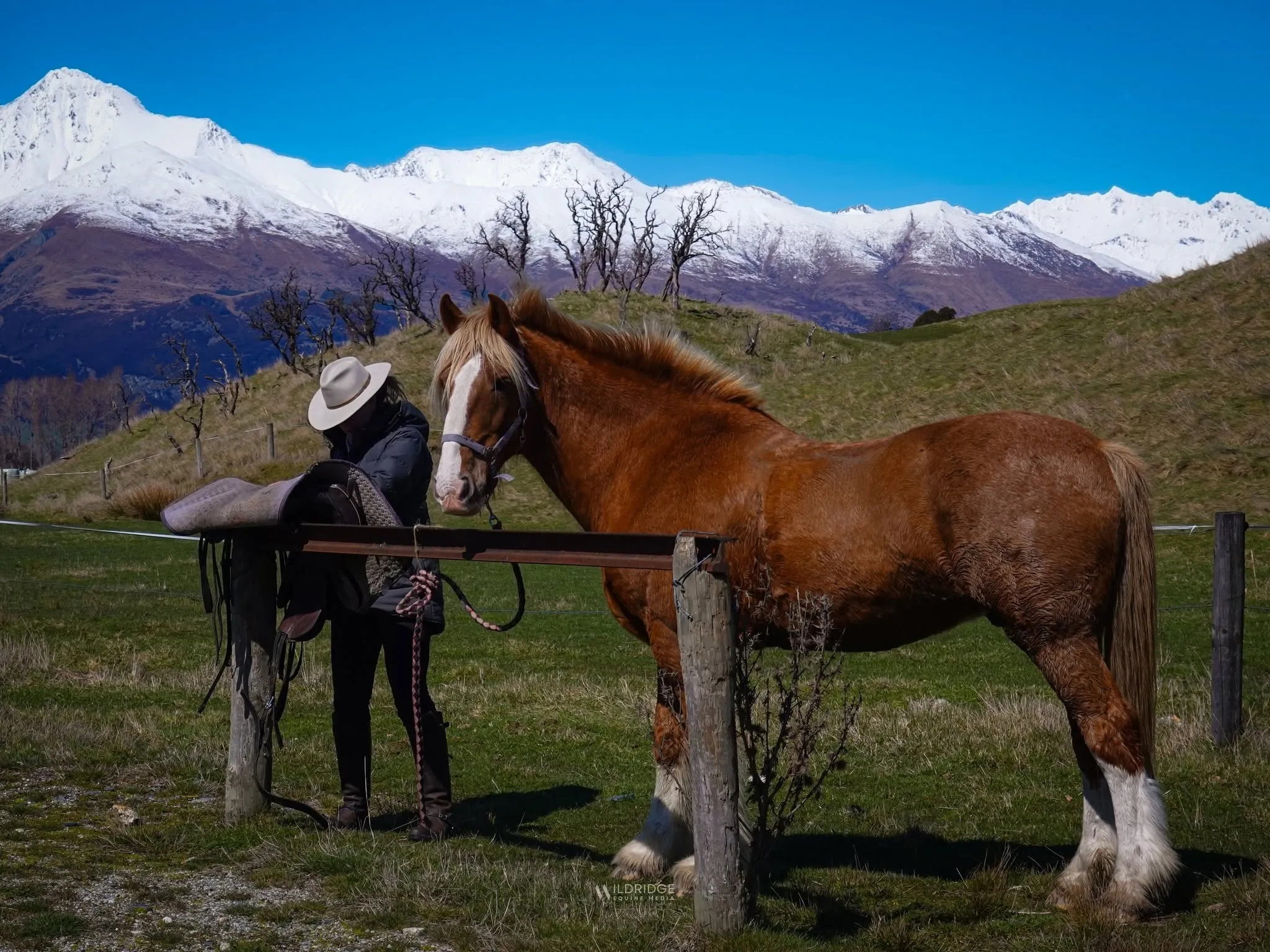 Glenorchy Horse Trek - 1 Hour | Everything New Zealand-7