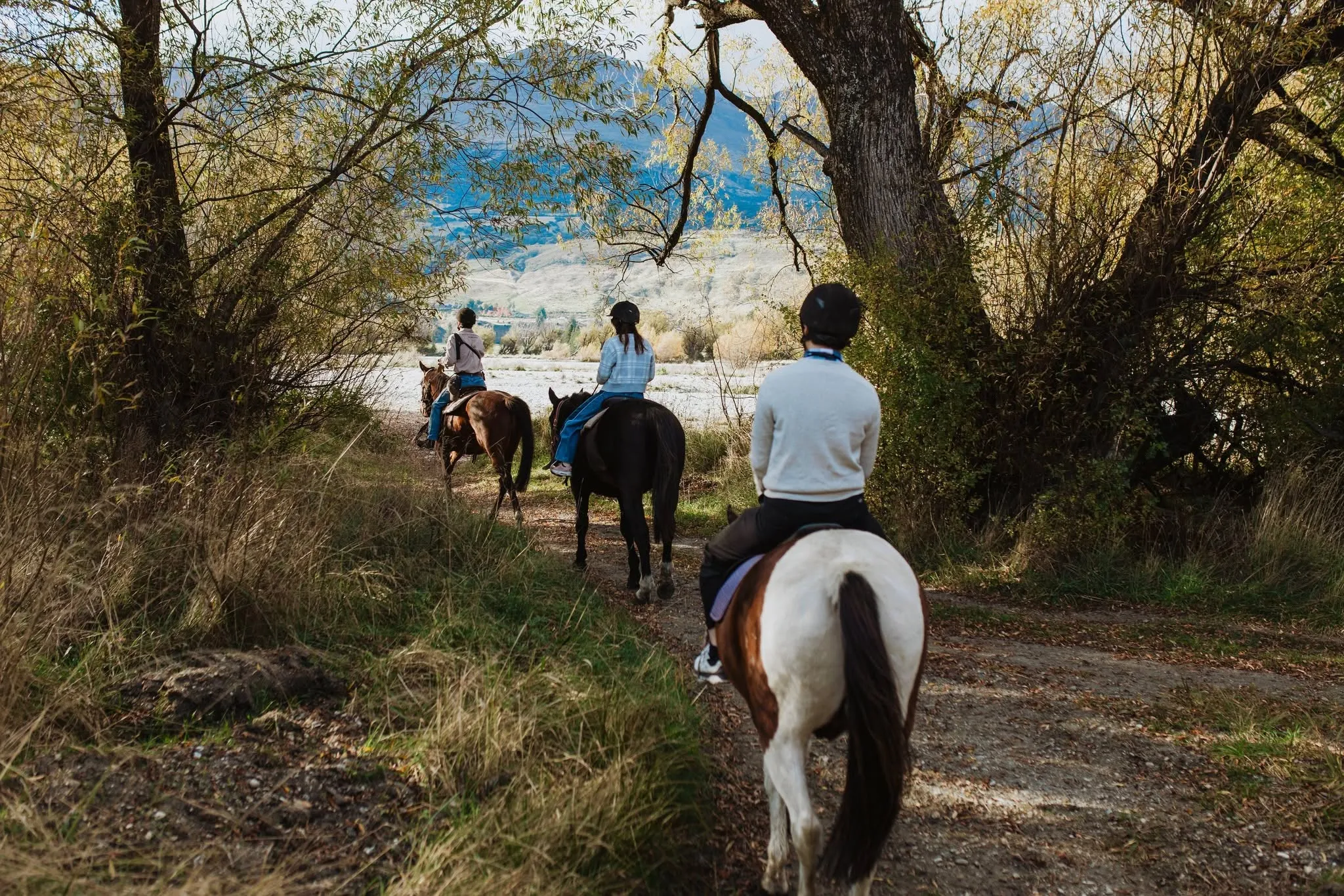 Glenorchy Horse Trek - 1 Hour | Everything New Zealand-2