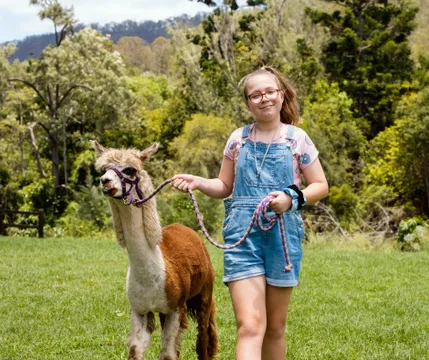 Historic Rivermill Alpaca Walking Adventure - 30 Minutes