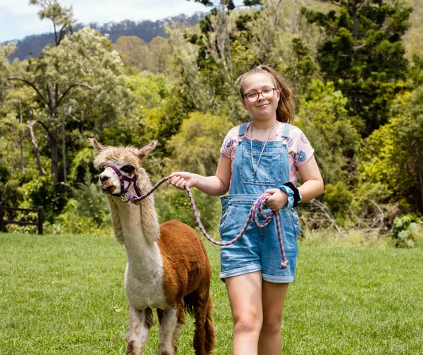 Historic Rivermill Alpaca Walking - 30 Minutes | Experience Oz