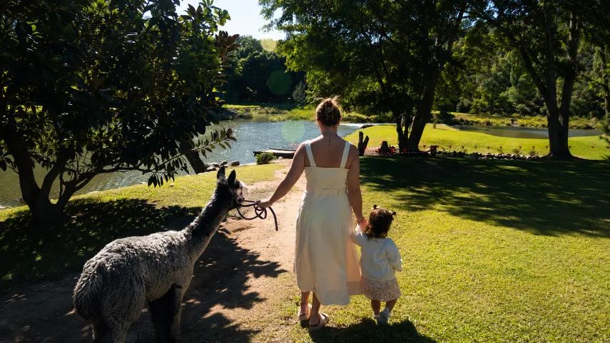 Historic Rivermill Alpaca Walking - 30 Minutes | Experience Oz