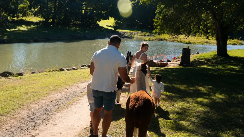Historic Rivermill Alpaca Walking - 30 Minutes | Experience Oz