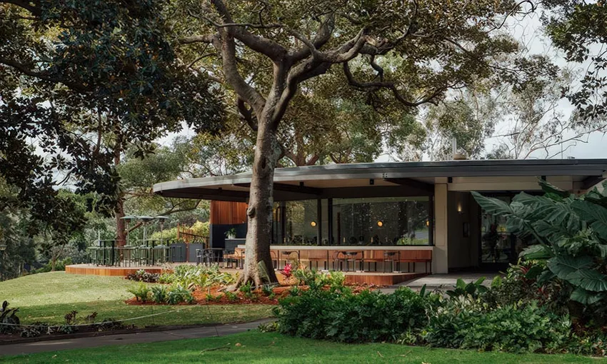 Bottomless Brunch at Terrace on the Domain | Experience Oz