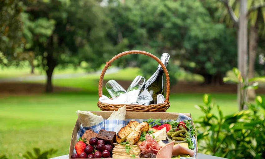 Sydney Royal Botanic Garden Italian Picnic | Experience Oz
