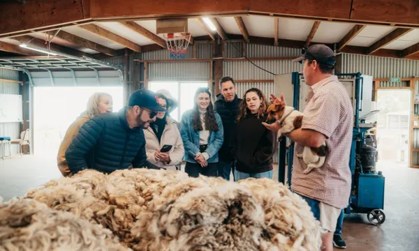 Christchurch Farm Tour with Waipara Wine - Full Day