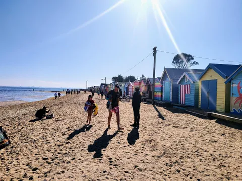 Moonlit Sanctuary and Brighton Beach Tour - Half Day
